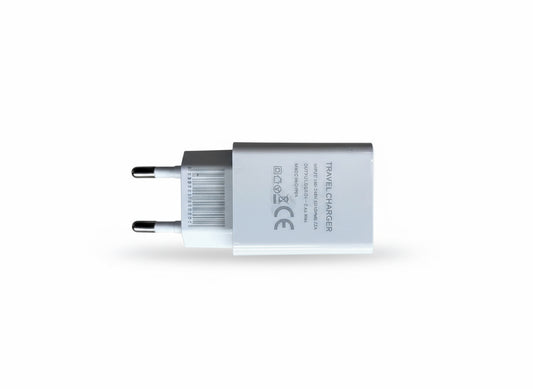 2.4A 100v-240v Travel Charger