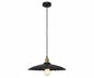 Industrial Black style metal pendant light with an E27 base