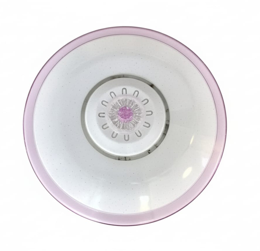 48W PINK LED 2 Color Ceiling light