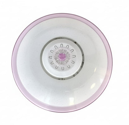 48W PINK LED 2 Color Ceiling light