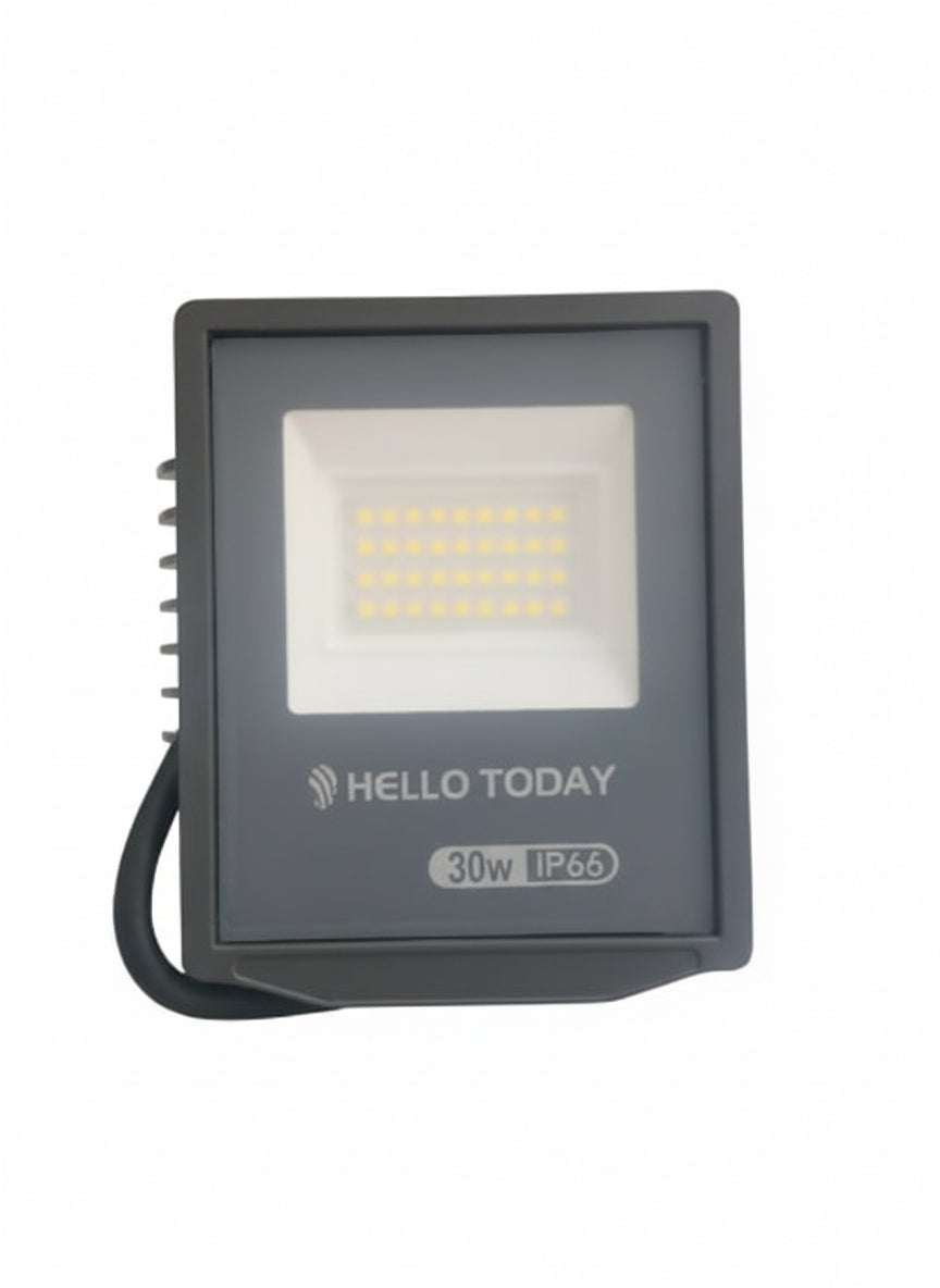 30w LED Floodlight  Cool White(6500K) A1-13